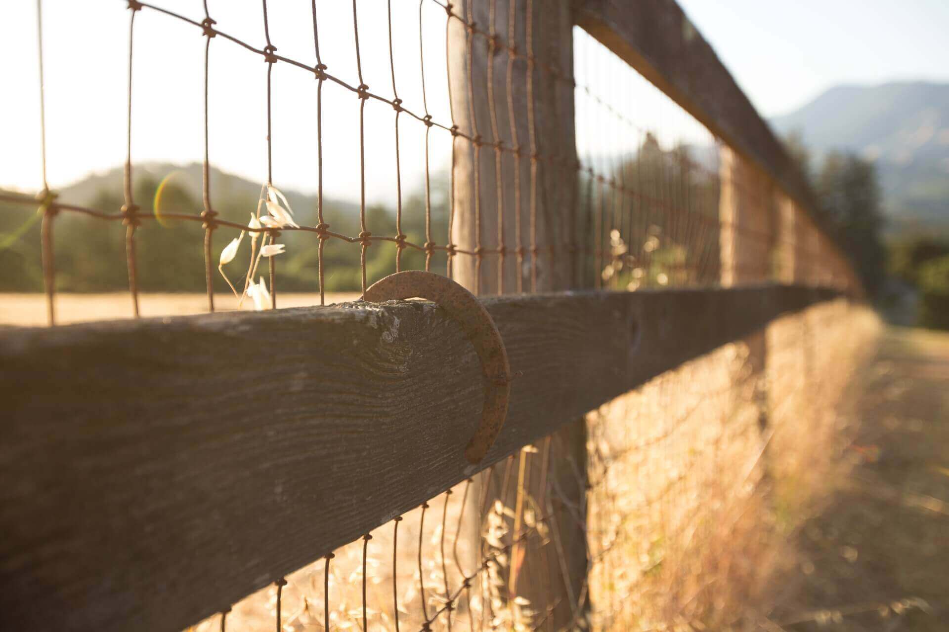 Horse Shoe Hanging on Fence