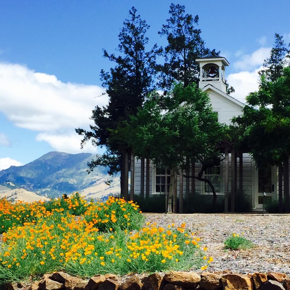 The Cole House with Lush and Vibrant Landscape