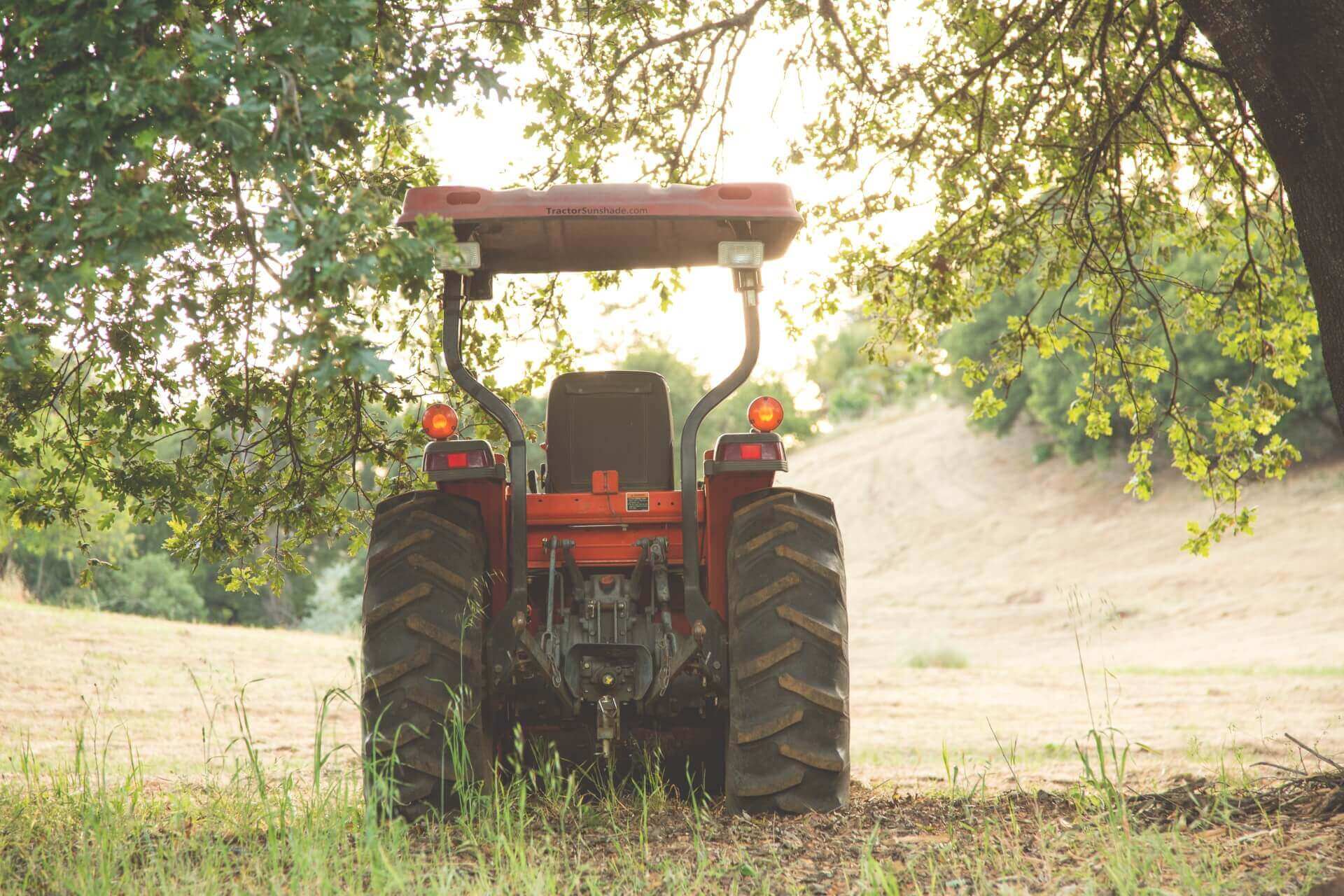 Red Tractor on Vineyard Landscape