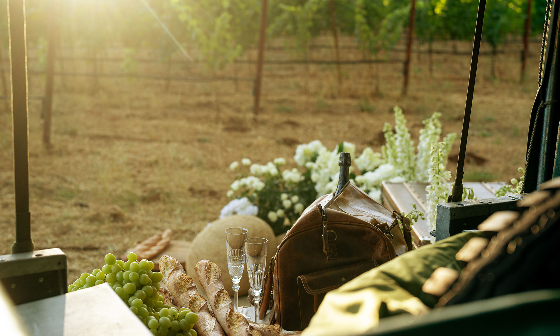 wine glasses and picnic basket at theorem vineyards