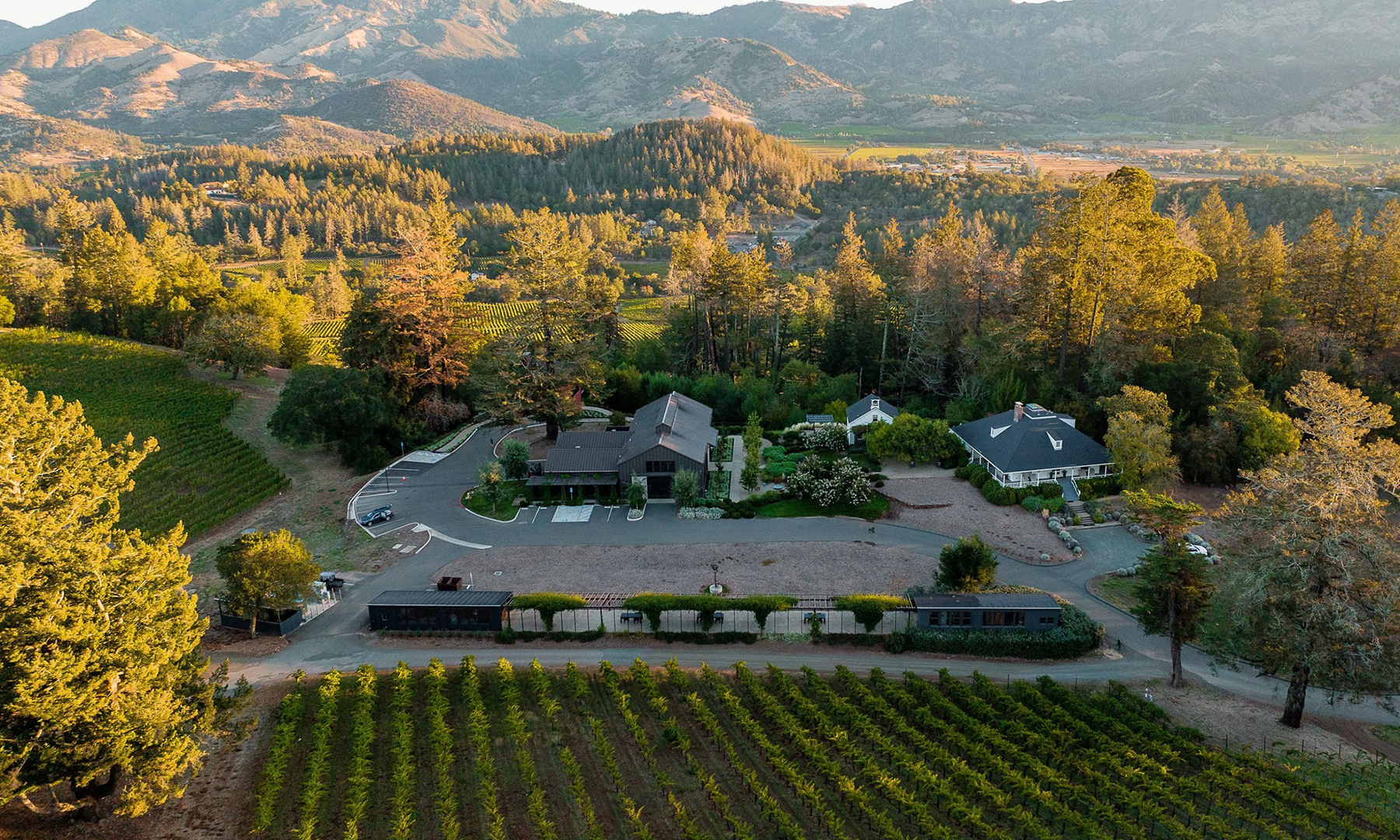high level view of theorem vineyards