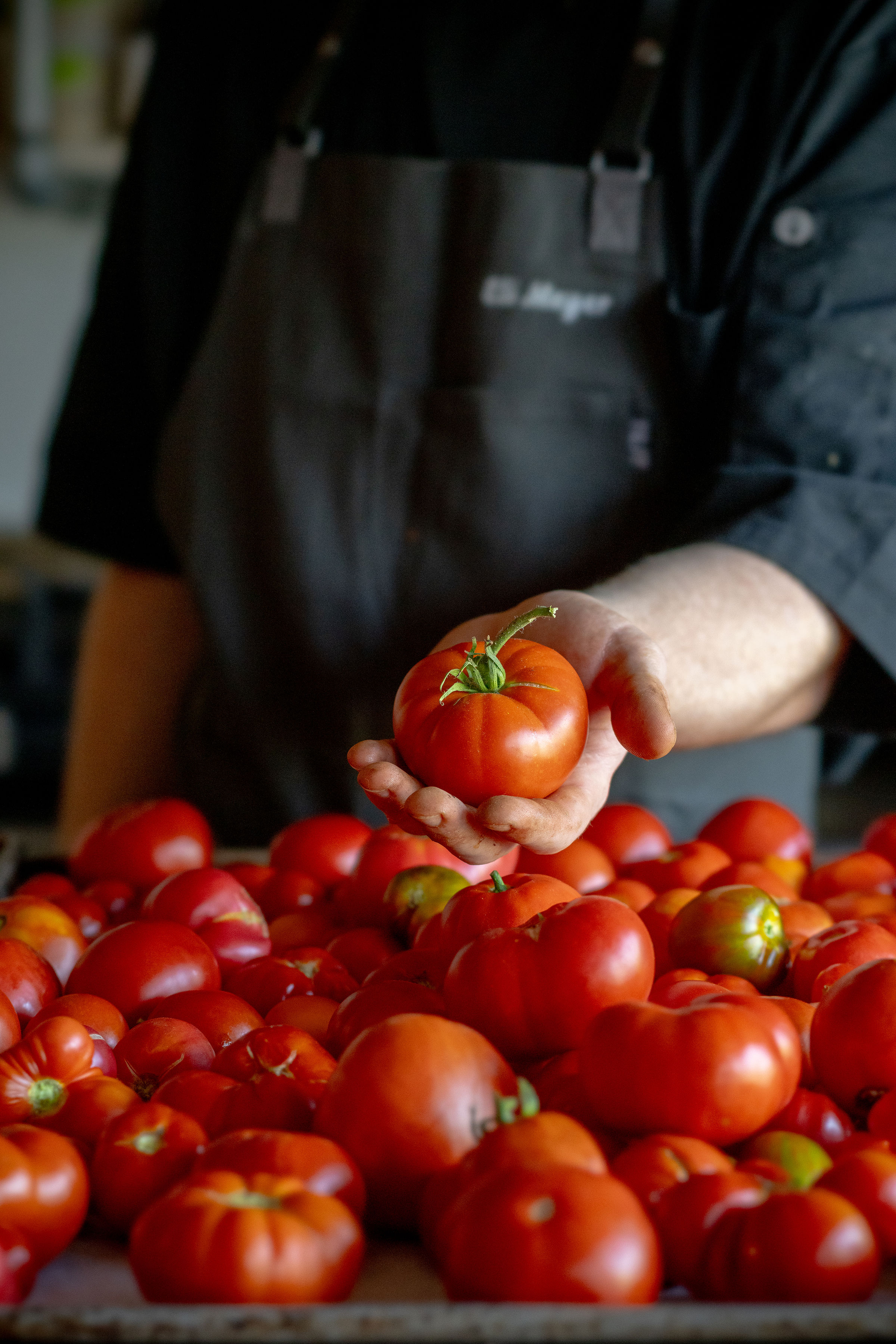 theorem chef holding fresh tomato